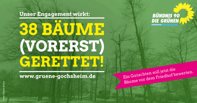 38 Bäume vorerst gerettet!