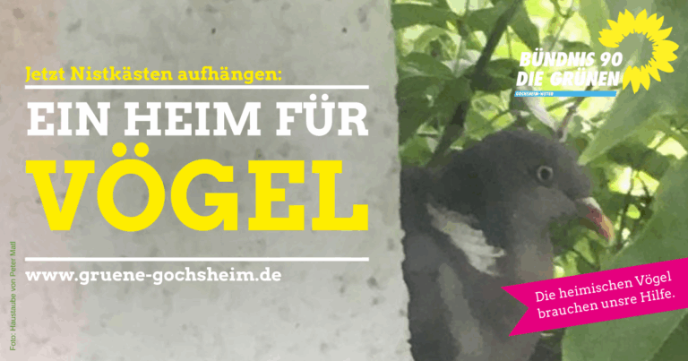 Jetzt unsere heimischen Vögel unterstützen!
