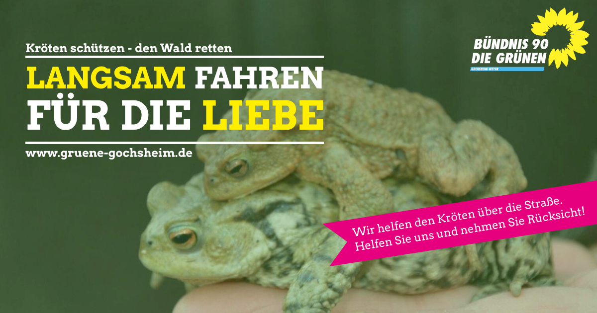 Langsam fahren für die Liebe - Kröten und Ehrenamtliche schützen!