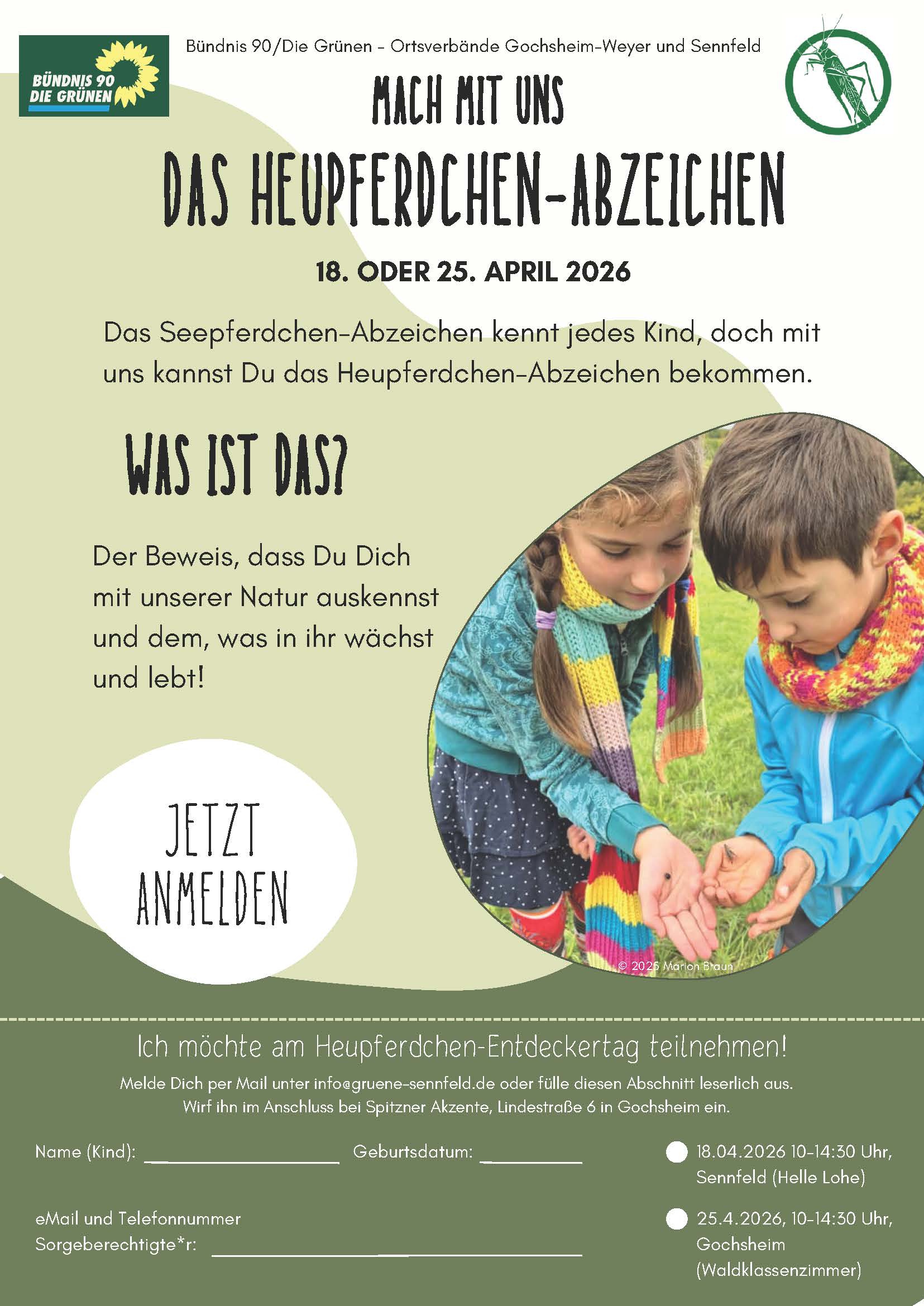 Titelbild des Heupferdchen-Flyers