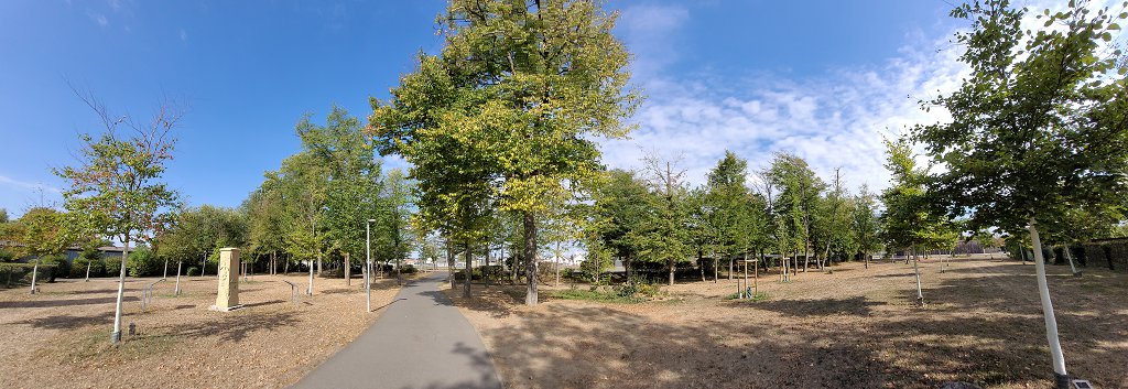 Bäume am Friedhof.